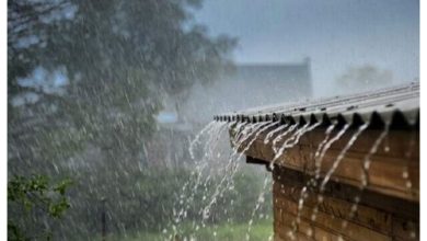پیش‌بینی رگبار و رعد و برق در برخی استان‌ها؛ سواحل دریای خزر بارانی می‌شود