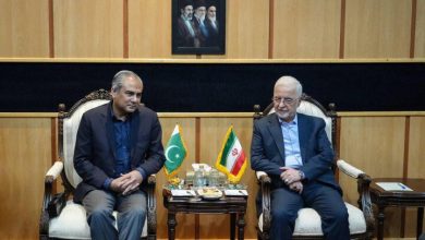 وزرای کشور ایران و پاکستان دیدار کردند