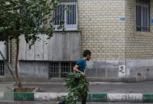 وزش باد شدید در تهران/پیش‌بینی کاهش کیفیت هوا