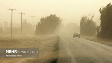 وزش باد نسبتاً شدید و احتمال گردوخاک در تهران پیش‌بینی می‌شود