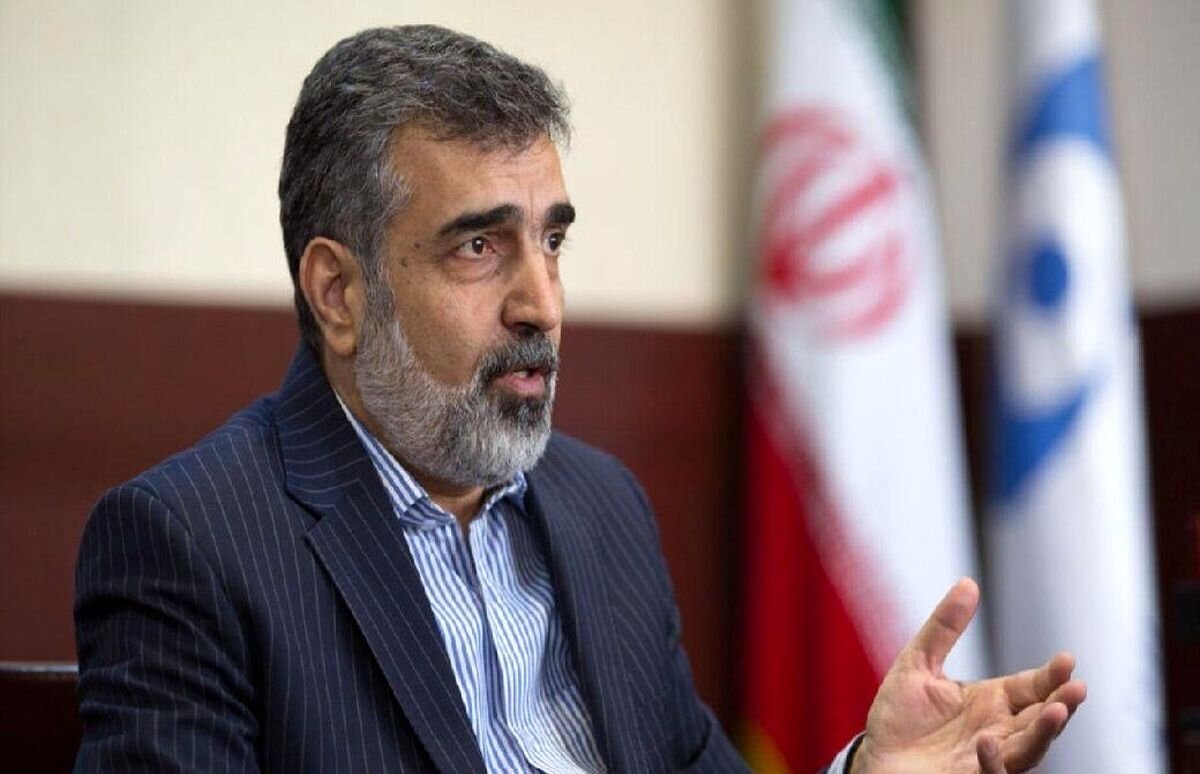 کمالوندی: ممانعت آمریکا از حضور ایران در نشست آژانس، مخرب و کودکانه است