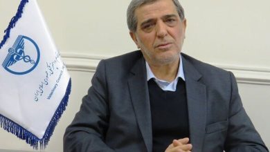 گام جدید برای کنترل هاری/ سگ‌های صاحب‌دار شناسنامه‌دار می‌شوند