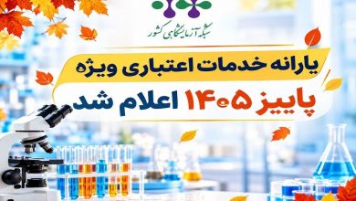 یارانه خدمات اعتباری ویژه پاییز ۱۴۰۵ اعلام شد