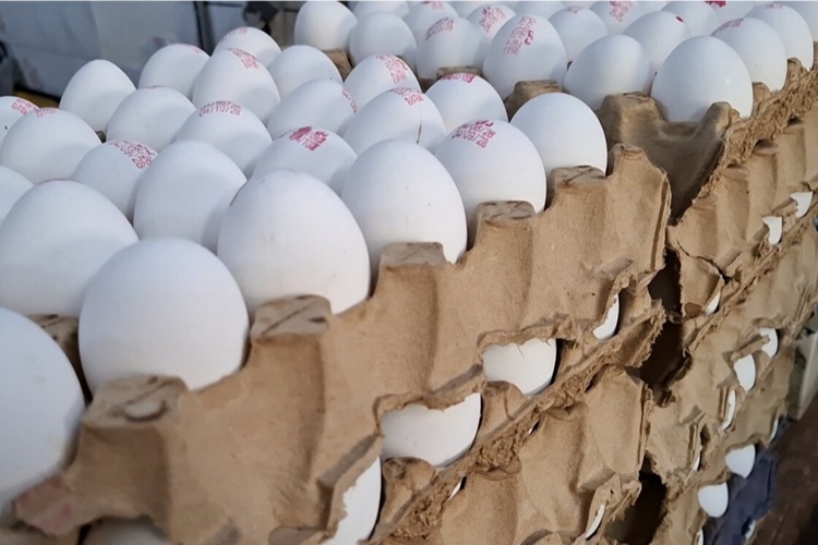 کالاهای اساسی