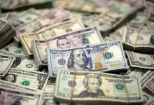 ارز واردات به کدام بخش‌ها رسید؟ رشد ۲۸ درصدی سهم دارو و تجهیزات پزشکی
