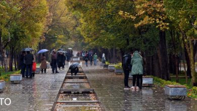 بارش باران
