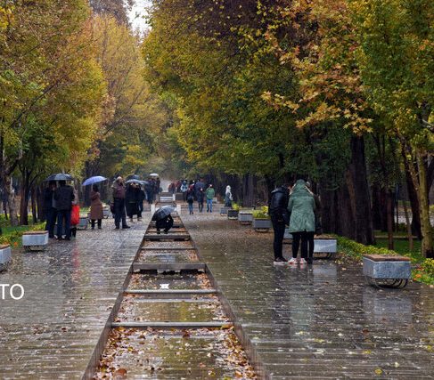 بارش باران