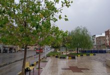 بارش پراکنده