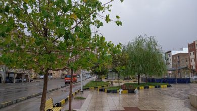 بارش پراکنده