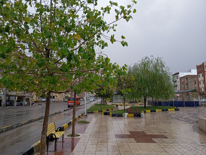 بارش پراکنده