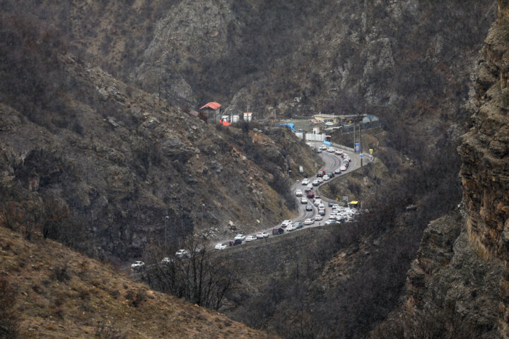 ترافیک