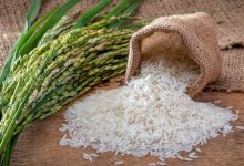 تولید برنج