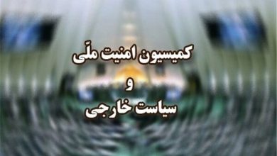 جلسه کمیسیون امنیت ملی با فرمانده نیروی هوایی ارتش