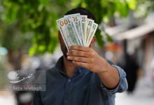 هر سایتی قیمت حبابی ارز را اعلام کند با آن برخورد خواهیم کرد