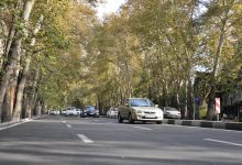 درختان