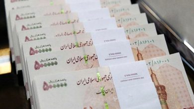 رئیس سازمان اداری و استخدامی خبر داد: دستور ویژه رییس‌جمهور برای ارتقای معیشت کارکنان
