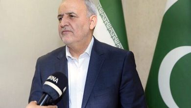 رضا امیری