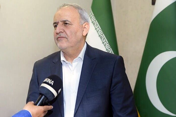 رضا امیری