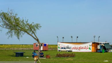 زمین‌ پروژه پتروشیمی میانکاله تعیین تکلیف شد