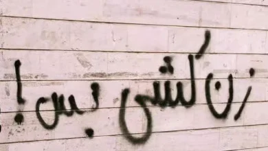 برای جلوگیری از حبس مردان به‌خاطر مهریه قانون می‌گذارند، برای قتل زنان سکوت می‌کنند!