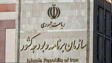 سازمان برنامه: موکول شدن افزایش اعتبار کالابرگ به ماه آینده نادرست است