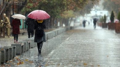   سازمان هواشناسی