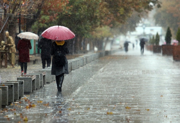   سازمان هواشناسی