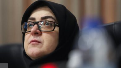 سخنگوی دولت: پروژه ایران هراسی افسانه ای برای ترس از ایران است