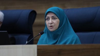 شینا انصاری