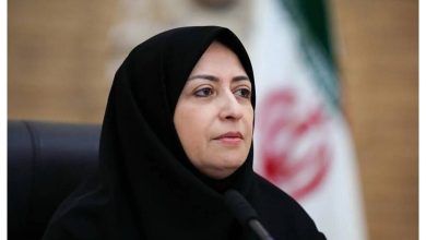 شینا انصاری