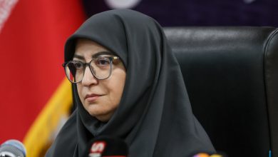 شینا انصاری