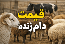 قیمت دام زنده