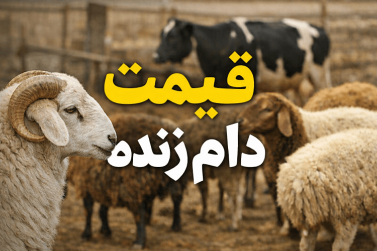 قیمت دام زنده