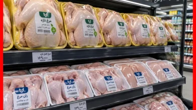قیمت مرغ