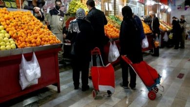 قیمت میوه و تره‌بار تهران؛ قیمت میوه ها ثابت ماند، پیاز و سیب زمینی گران شد