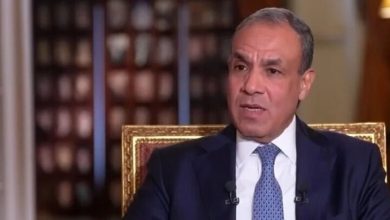 مصر: برای کاهش تنش میان ایران و آمریکا تلاش می‌کنیم