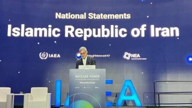معاون سازمان انرژی اتمی: آژانس باید نهادی مستقل، فنی و توسعه محور باشد