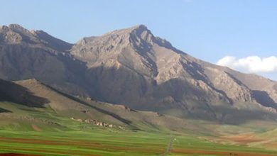 مناطق حفاظت شده