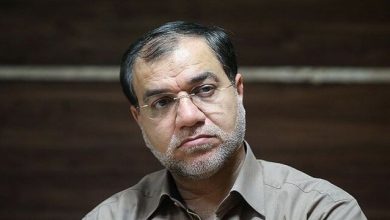 مهدی فضائلی