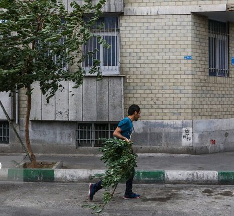 وزش باد خیلی شدید در تهران از بعداز ظهر امروز