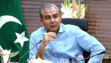 وزیر کشور پاکستان: برای صلح به گفتگو، اعتماد و تلاش صادقانه نیاز است