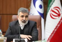 معاون سازمان انرژی اتمی: در ساخت نیروگاه هسته‌ای به خودکفایی رسیده‌ایم