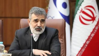معاون سازمان انرژی اتمی: در ساخت نیروگاه هسته‌ای به خودکفایی رسیده‌ایم